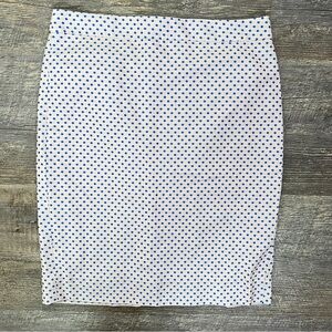 J. Crew pink and blue polkadot straight the pencil skirt size 4 B154